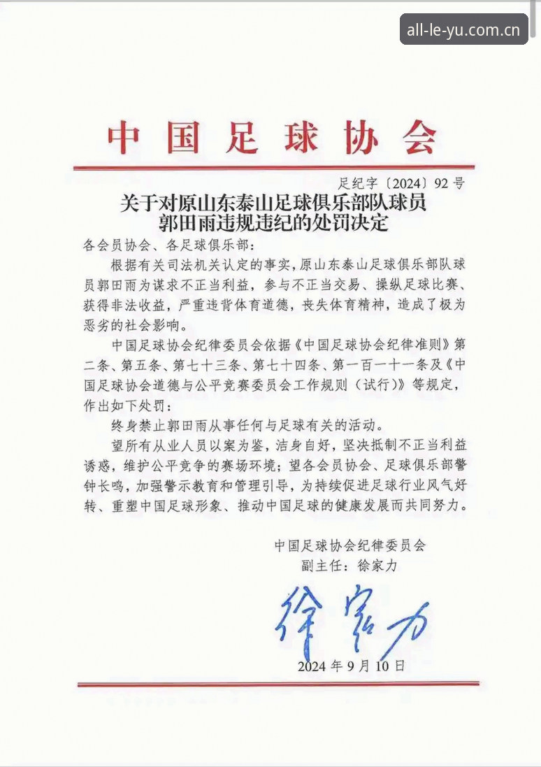 中国足协第三批禁足名单深度解析：从行业震荡到体育生态重构完整指南