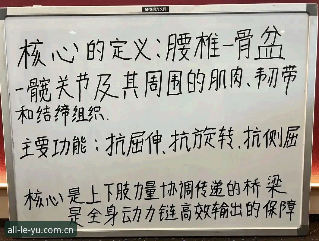 乐鱼体育体验 从菜鸟到老手:一位深度体验者眼中的乐鱼体育实战心得